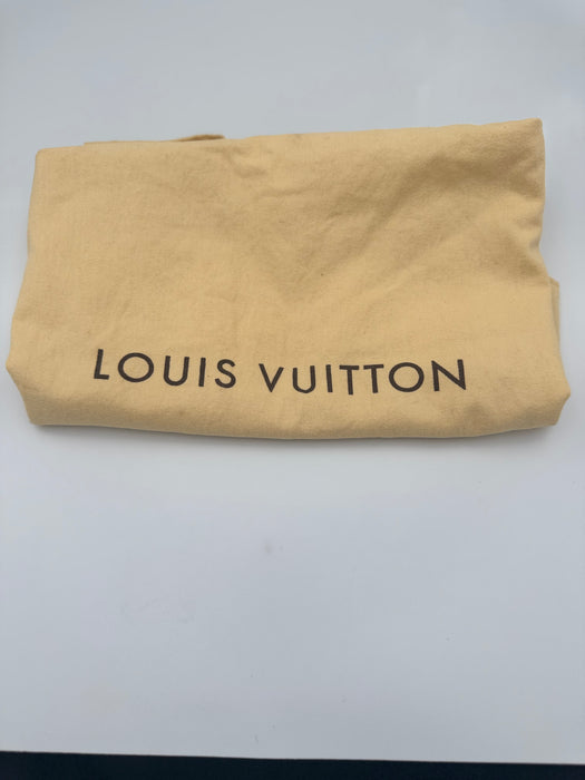 Louis Vuitton Damier Ebene Trevi PM