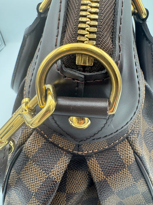 Louis Vuitton Damier Ebene Trevi PM