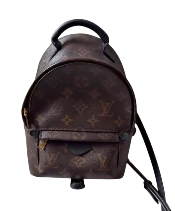 Louis Vuitton Palm Springs Mini Backpack – Monogram Canvas | Authentic LV Mini Bag