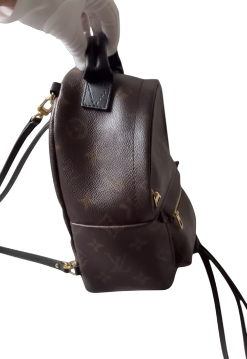 Louis Vuitton Palm Springs Mini Backpack – Monogram Canvas | Authentic LV Mini Bag