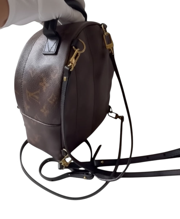 Louis Vuitton Palm Springs Mini Backpack – Monogram Canvas | Authentic LV Mini Bag