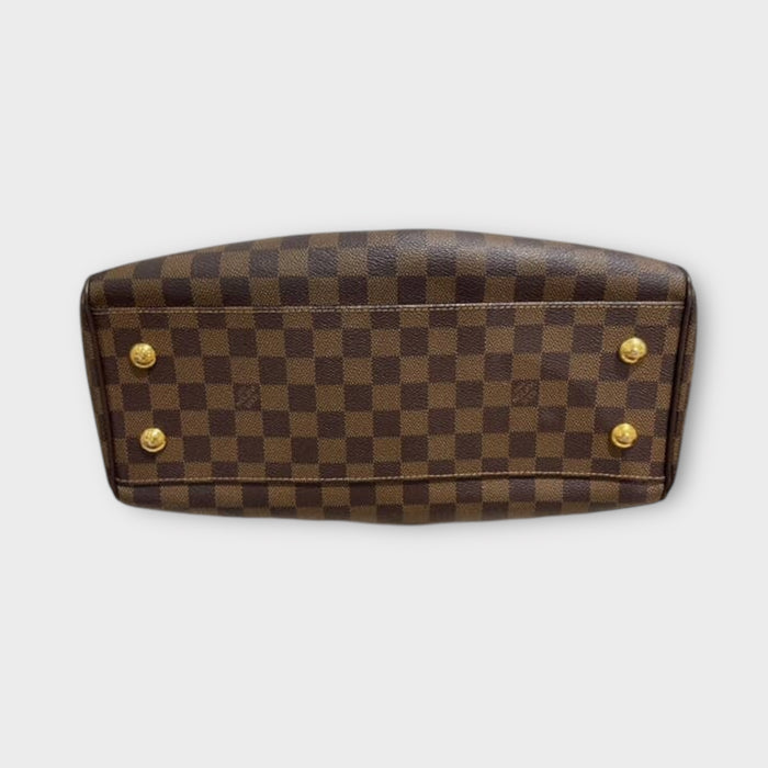 Louis Vuitton Damier Ebene Trevi PM