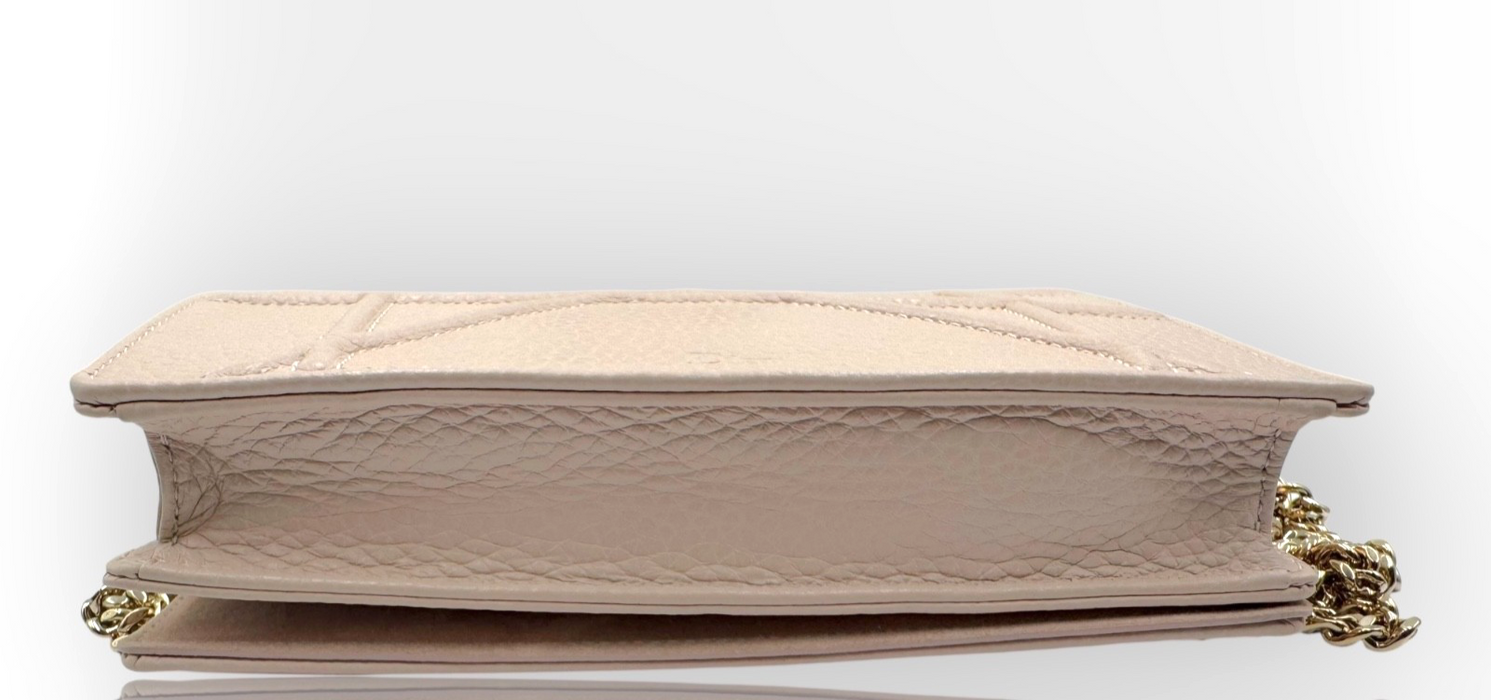Christian Dior Diorama Wallet on Chain in pale pink