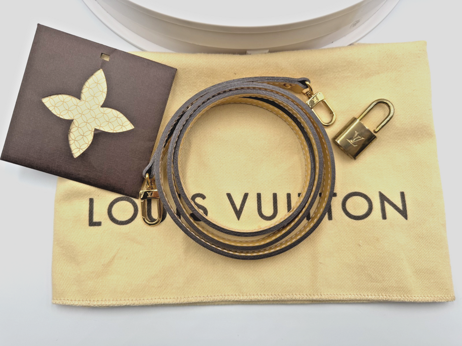 LOUIS VUITTON Citrine Monogram Vernis Alma BB Bag